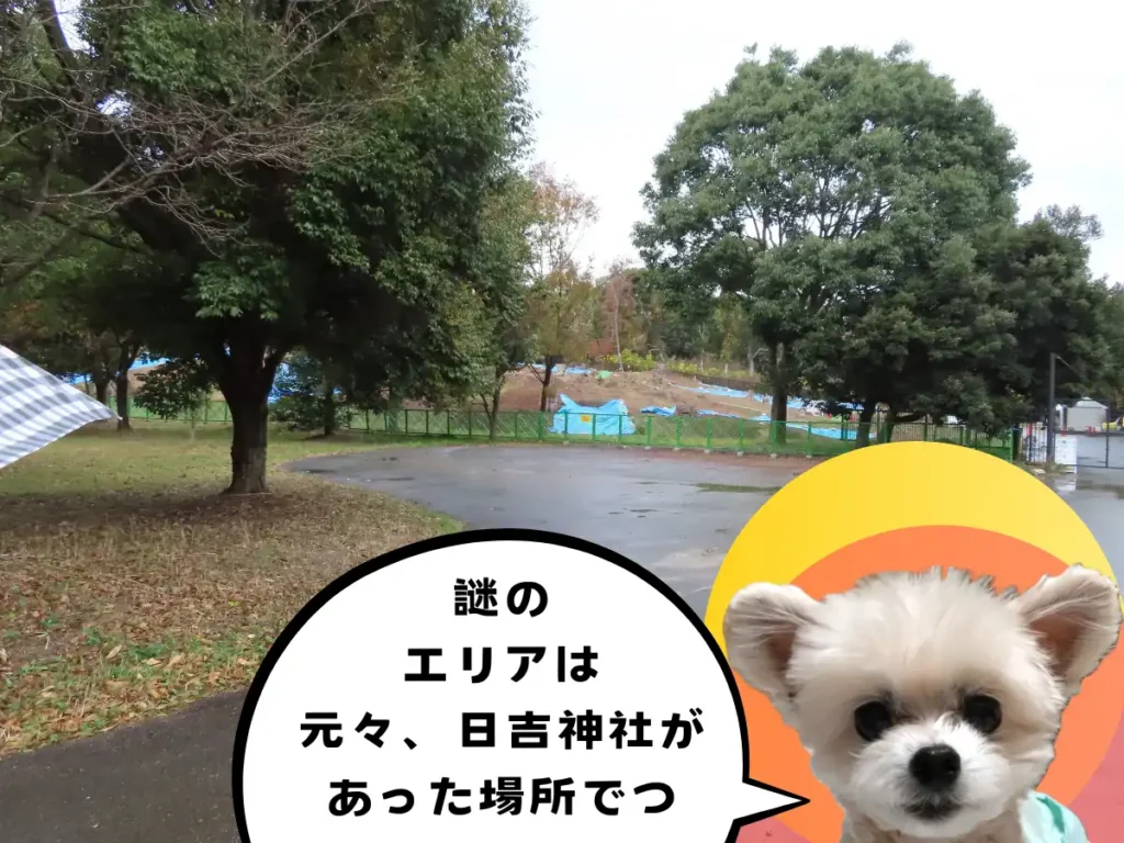 謎の発掘エリア