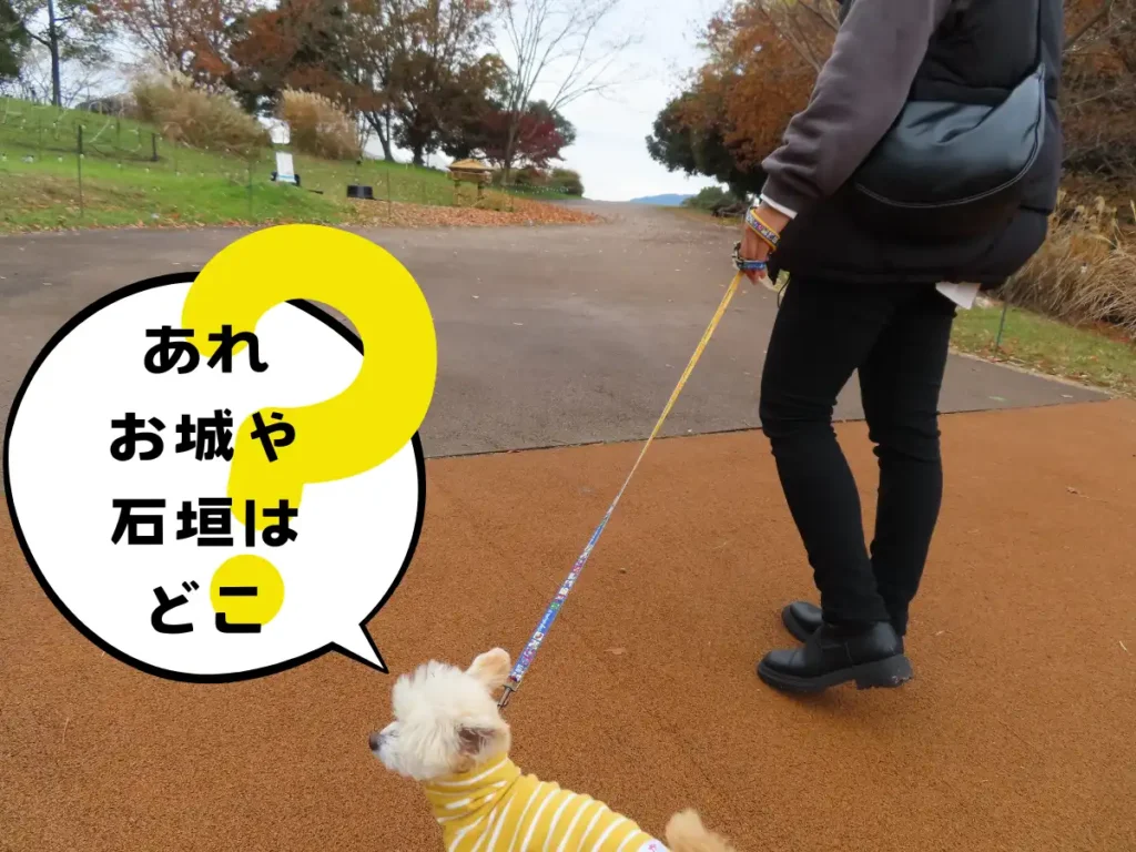 吉野ヶ里歴史公園を歩く犬