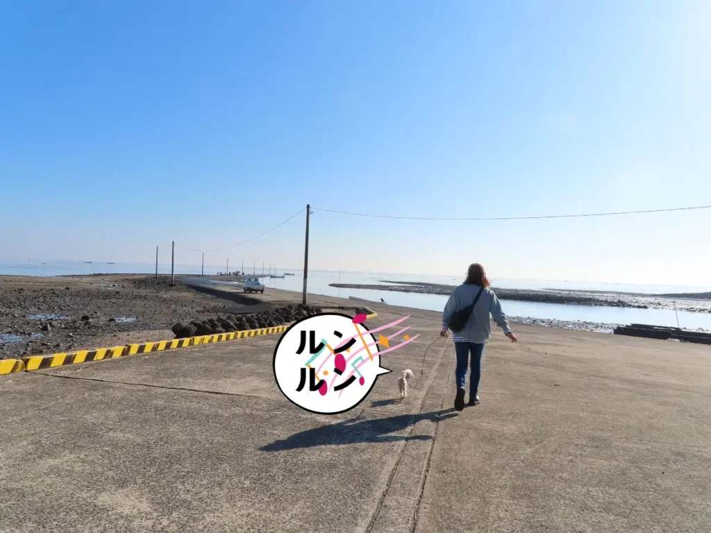 海中道路へ歩く犬