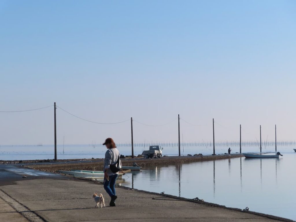 海中道路に向かう犬