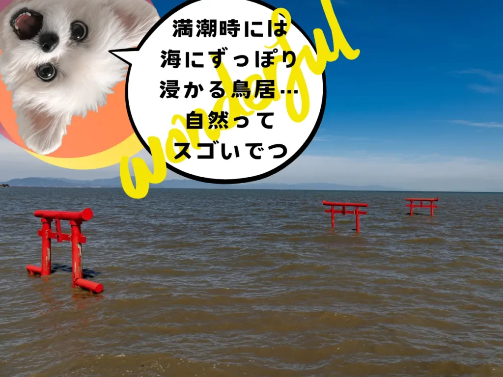 満潮の時の海中鳥居