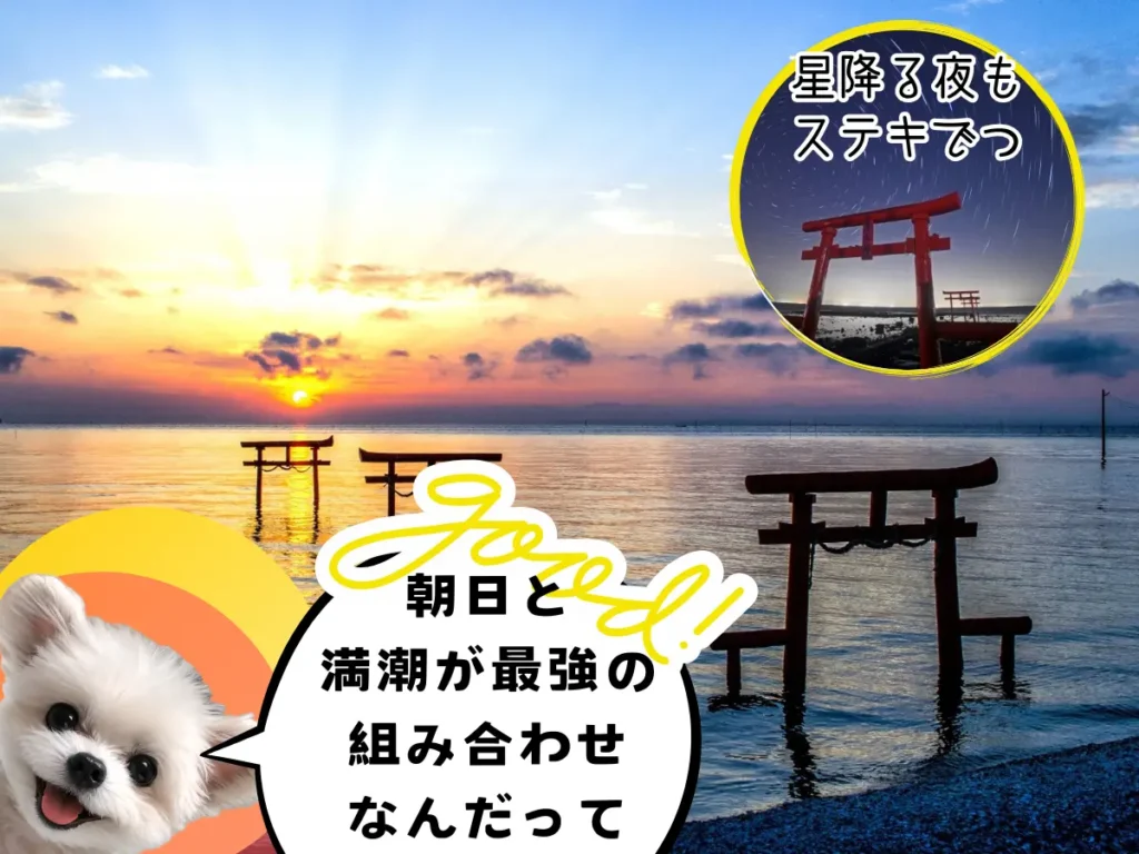 朝日が登る海中鳥居と夜のシーン