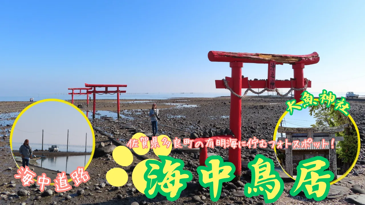 フルーツバス停と海中鳥居へ犬連れ旅サムネイル