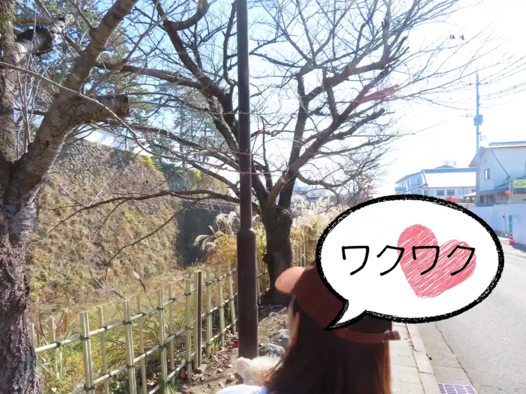 島原城のお堀沿い