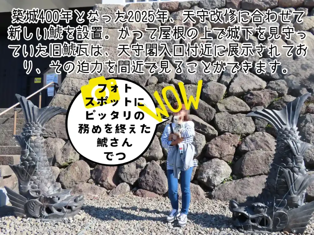 お城を見守り続けた鯱と記念撮影