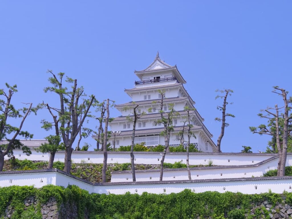 駅側から見る天守閣