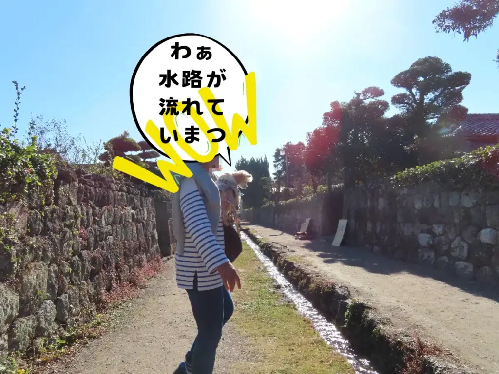 武家屋敷通りの水路