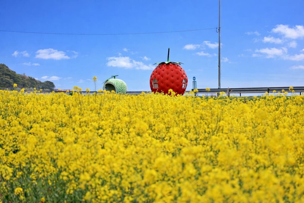 井崎のバス停と花畑