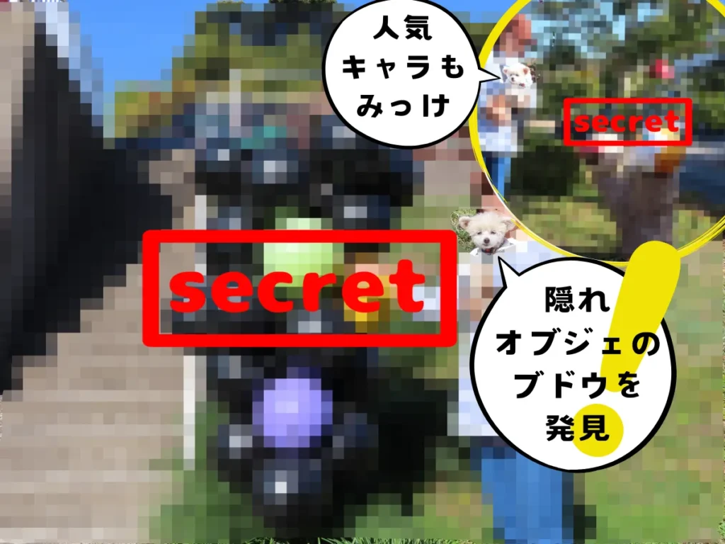 隠れスポットのブドウとアニメキャラ