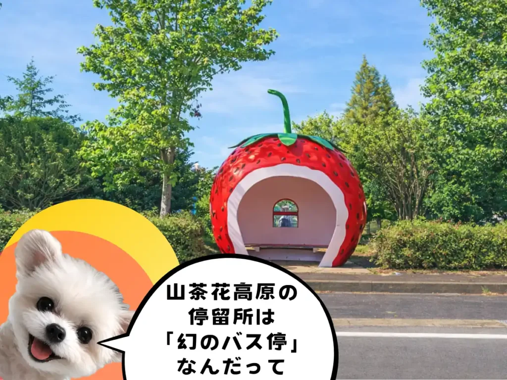 幻のイチゴバス停