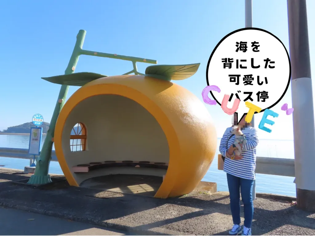 阿弥陀崎のミカンバス停で愛犬と記念撮影