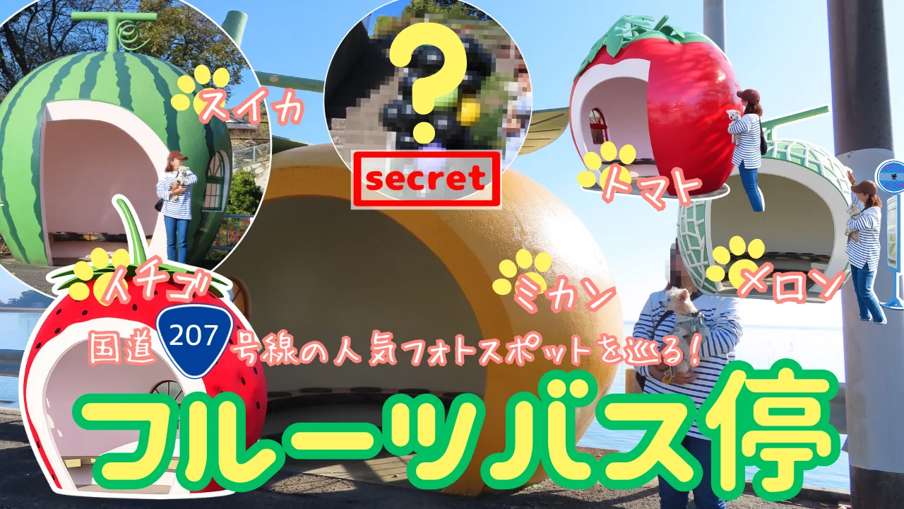 フルーツバス停へ犬連れ旅サムネイル