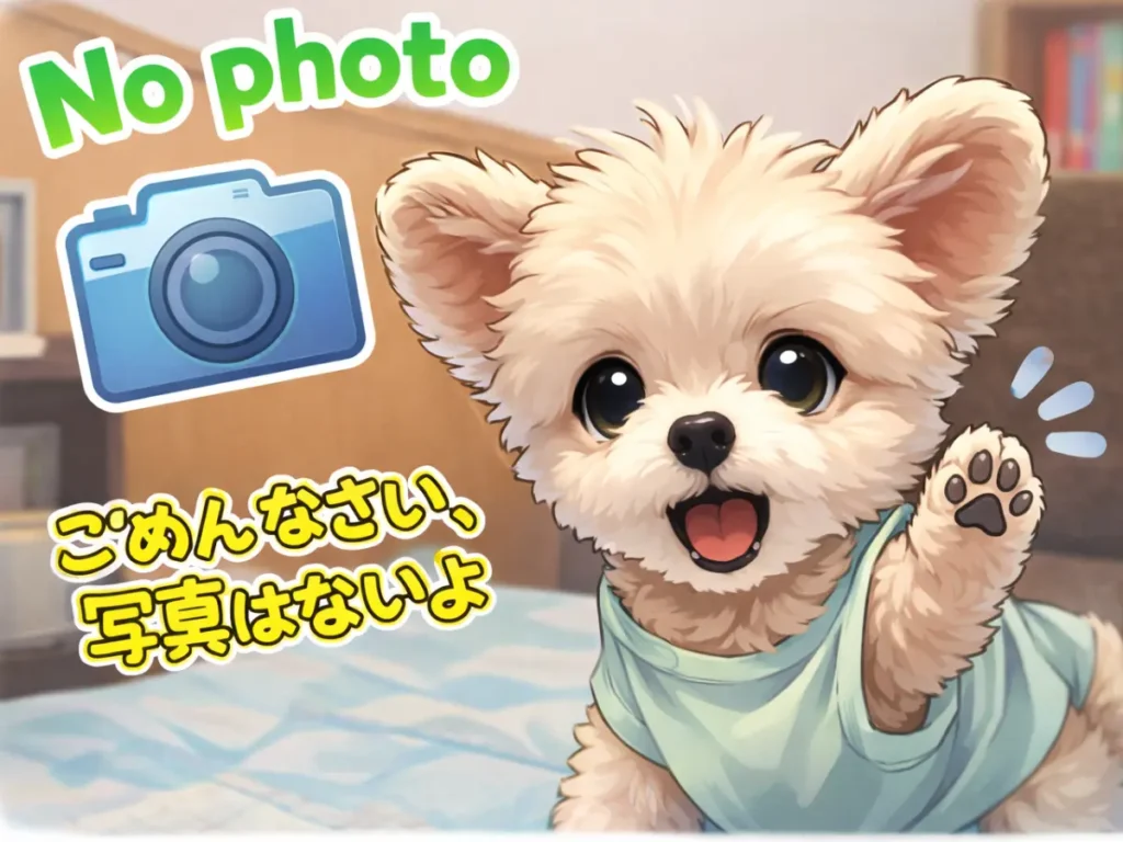 写真がないことの説明イラスト