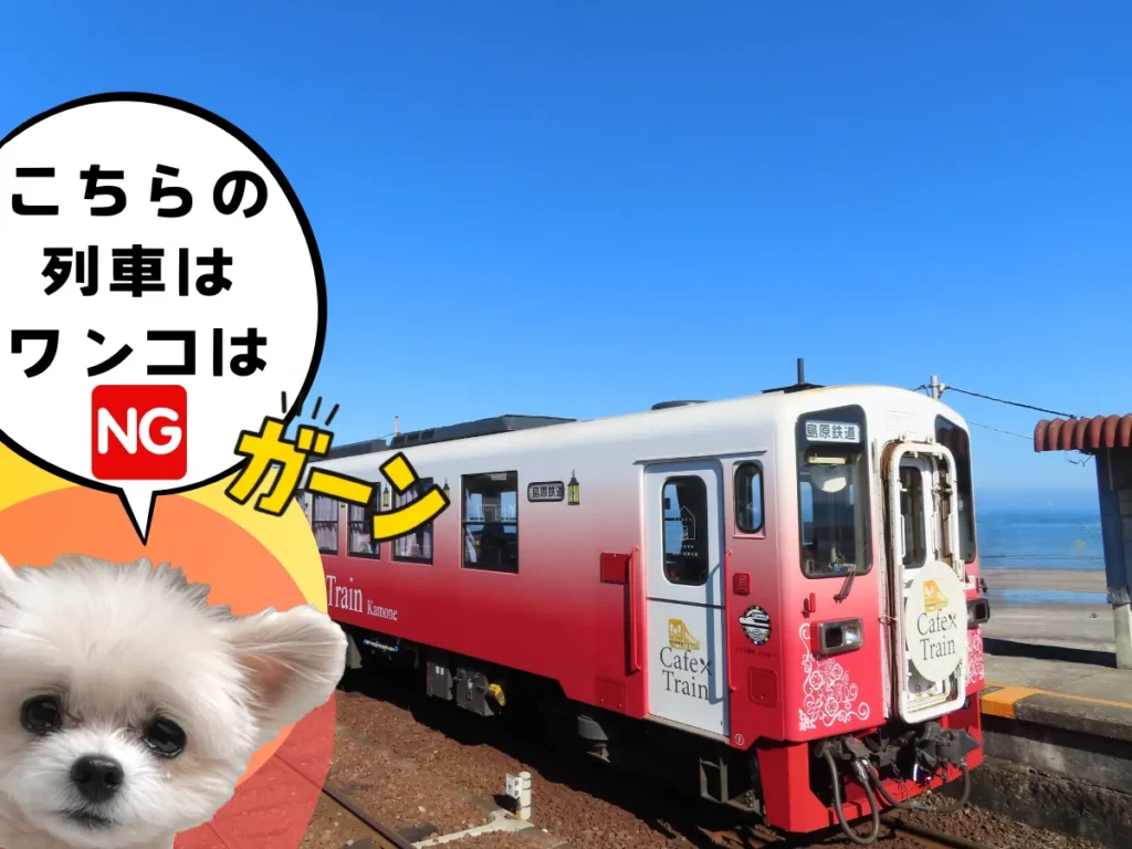 しまてつカフェトレイン