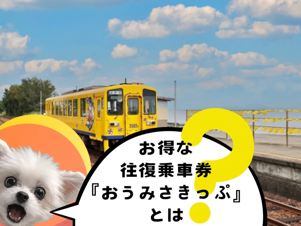 「おうみさきっぷ」の説明