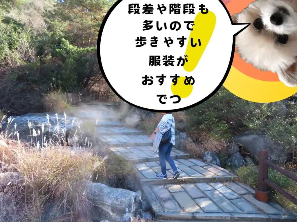 雲仙地獄の階段を登るママ