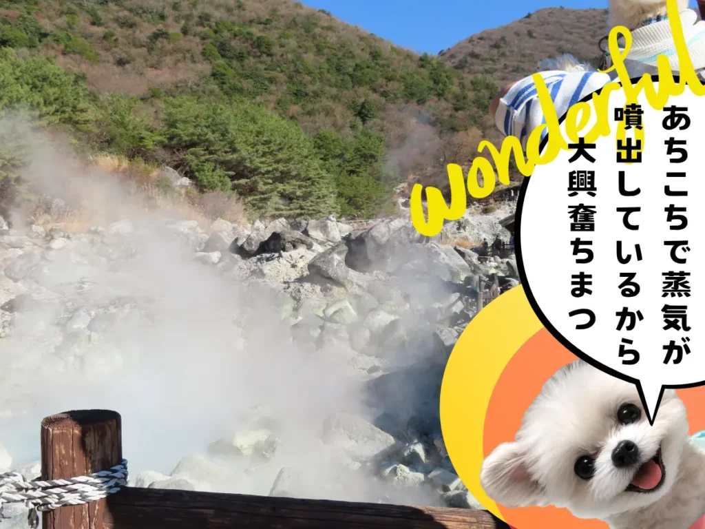 お糸地獄から噴出する蒸気