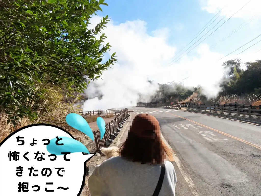 雲仙地獄の手前で抱っこされる犬