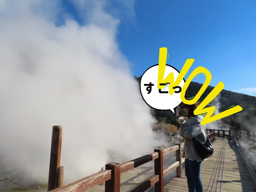 湯けむり橋で噴気に驚く犬