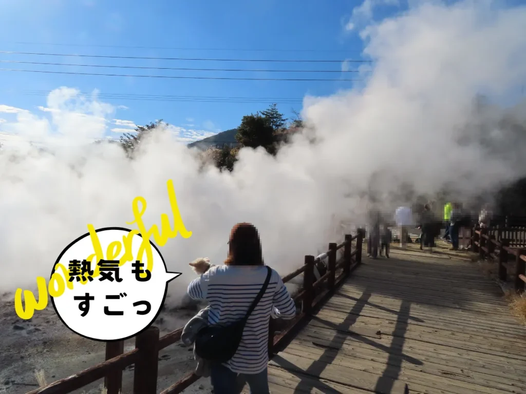 清七地獄の熱気に驚くママと犬
