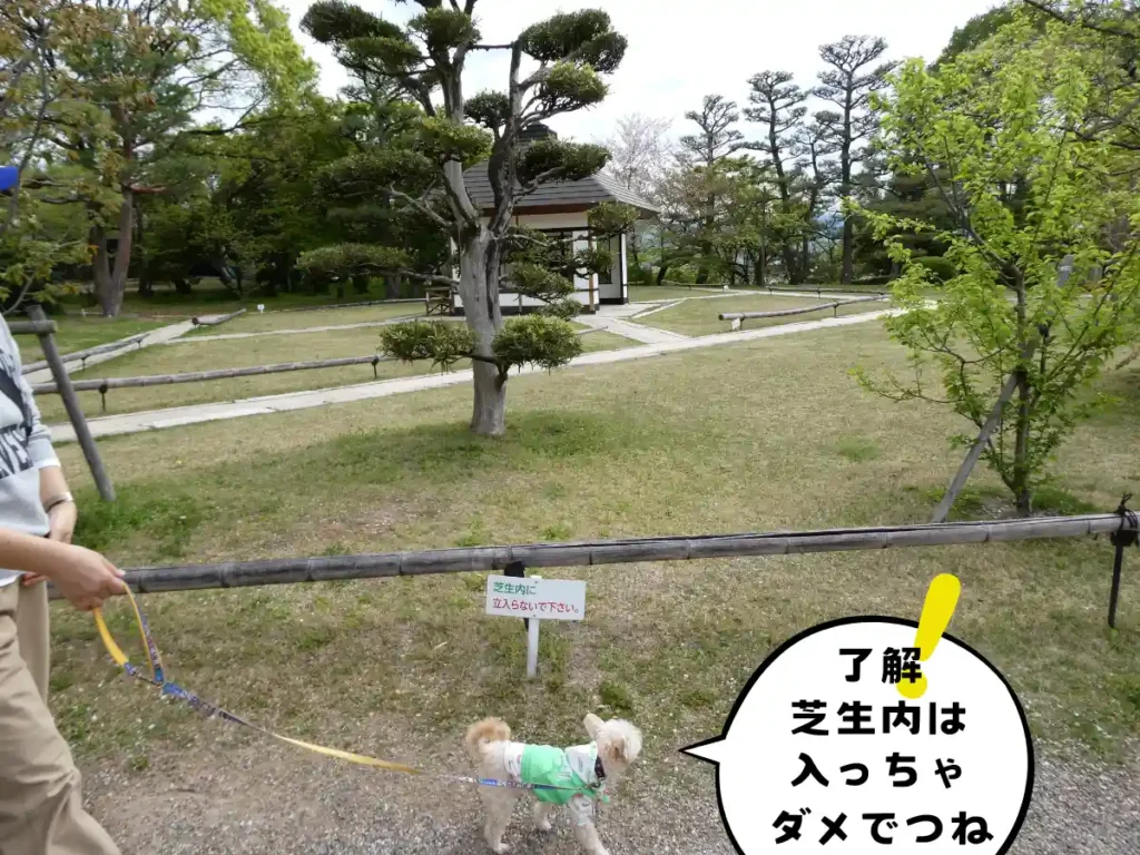 東屋の芝生