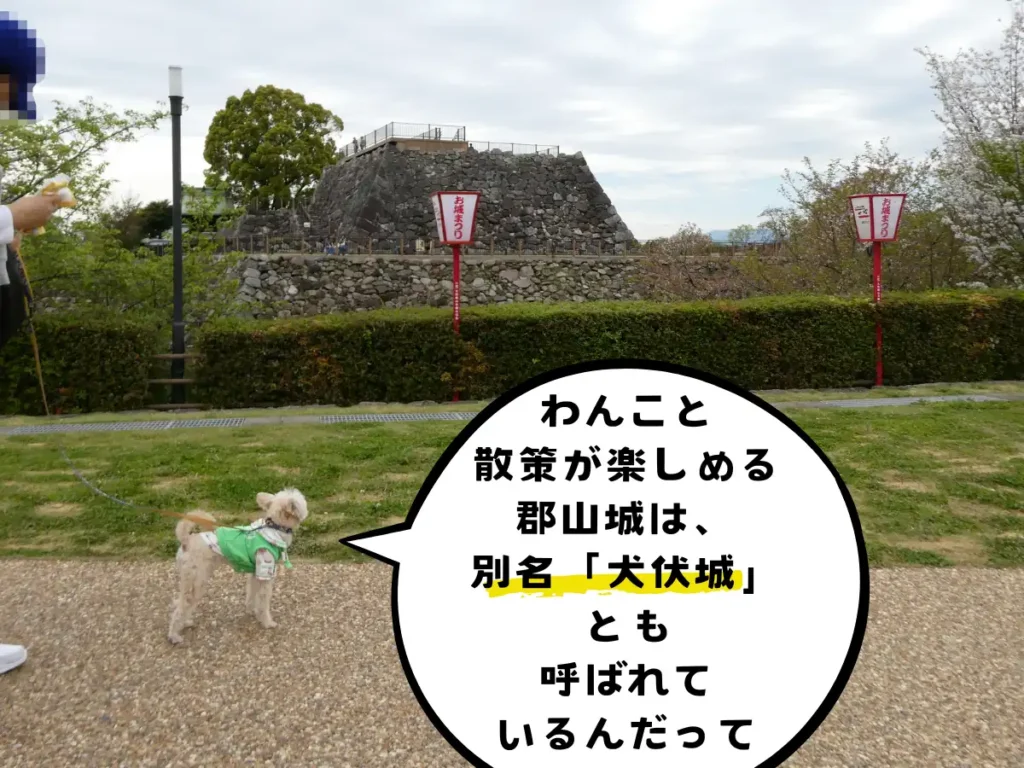 犬伏城とも呼ばれる天守台