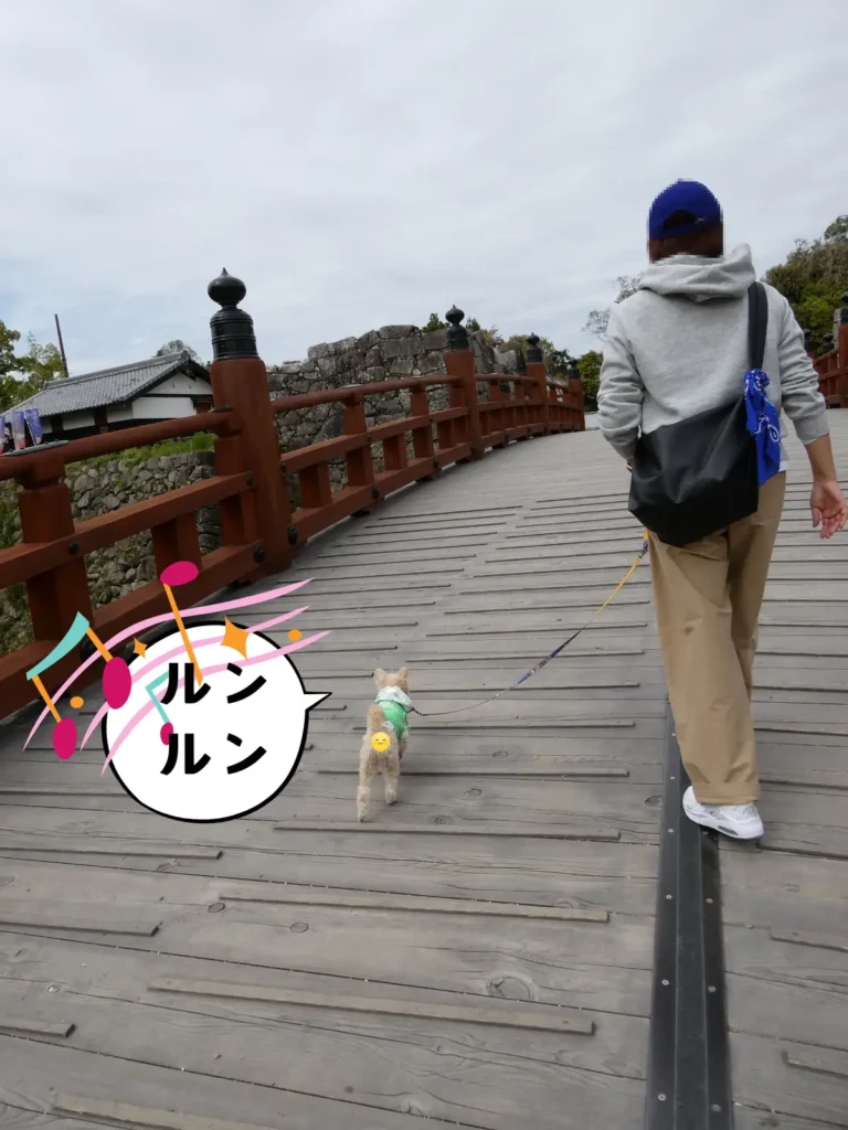 極楽橋を歩く犬