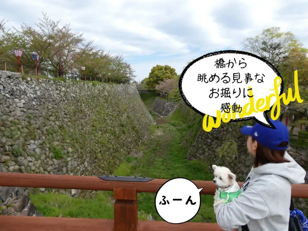 極楽橋から見るお掘り