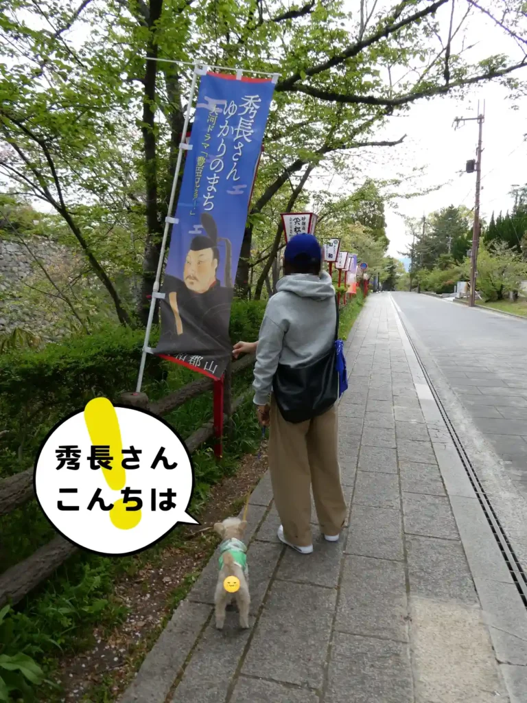 内堀沿いの道を歩く犬とママ