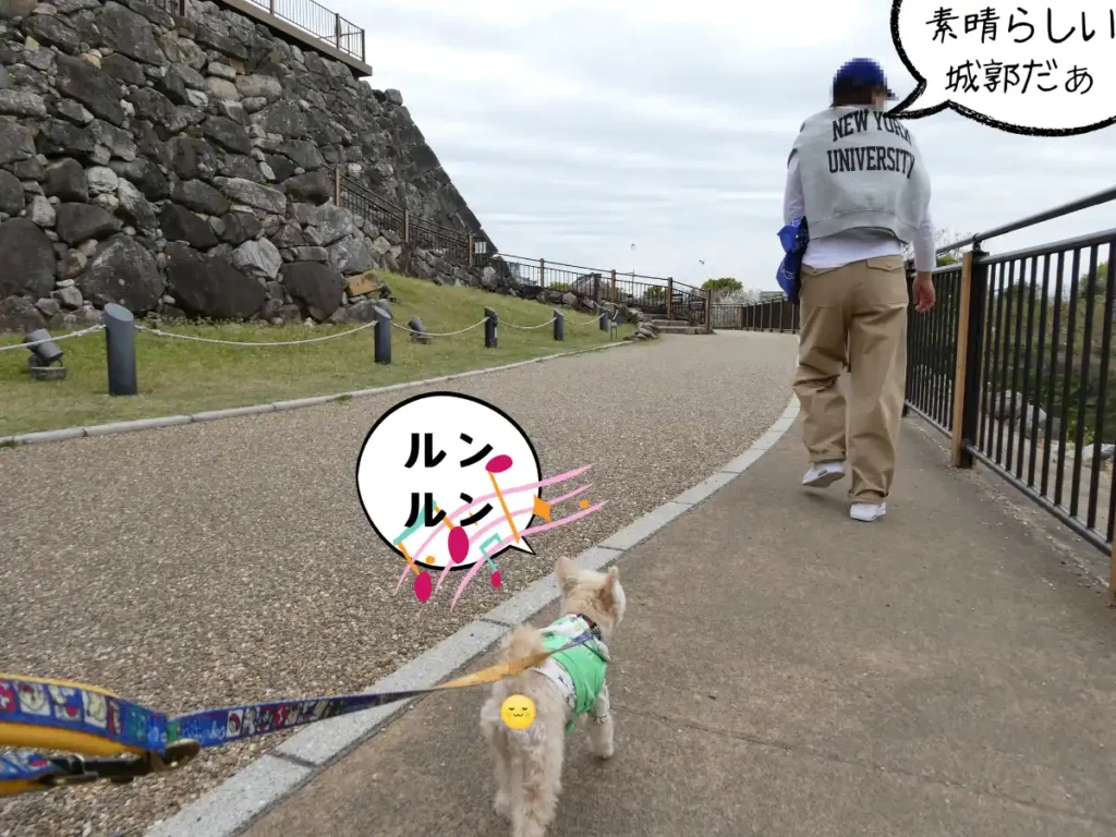 本丸を歩く犬