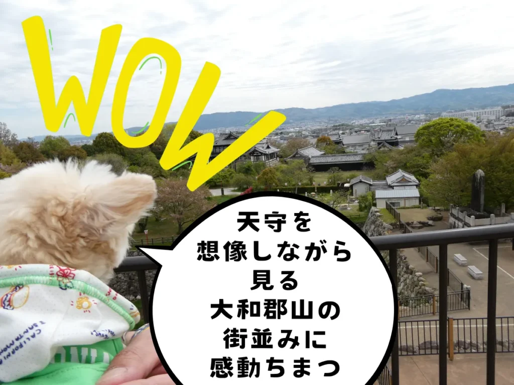 天守から見る大和郡山の街並み
