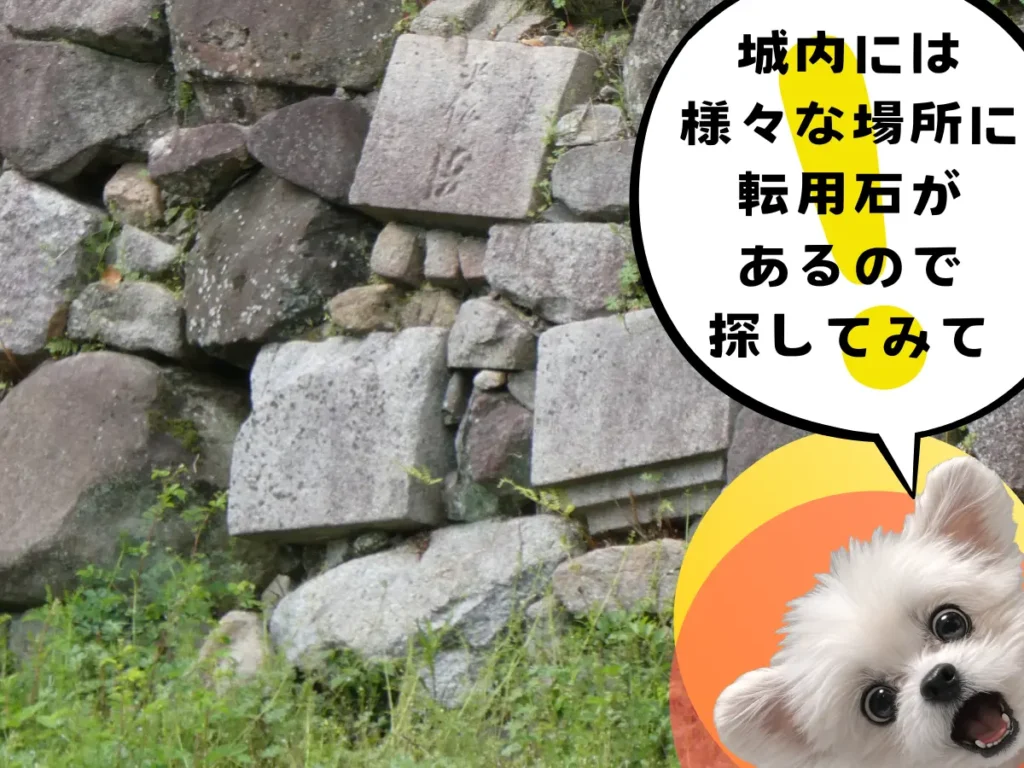 転用石