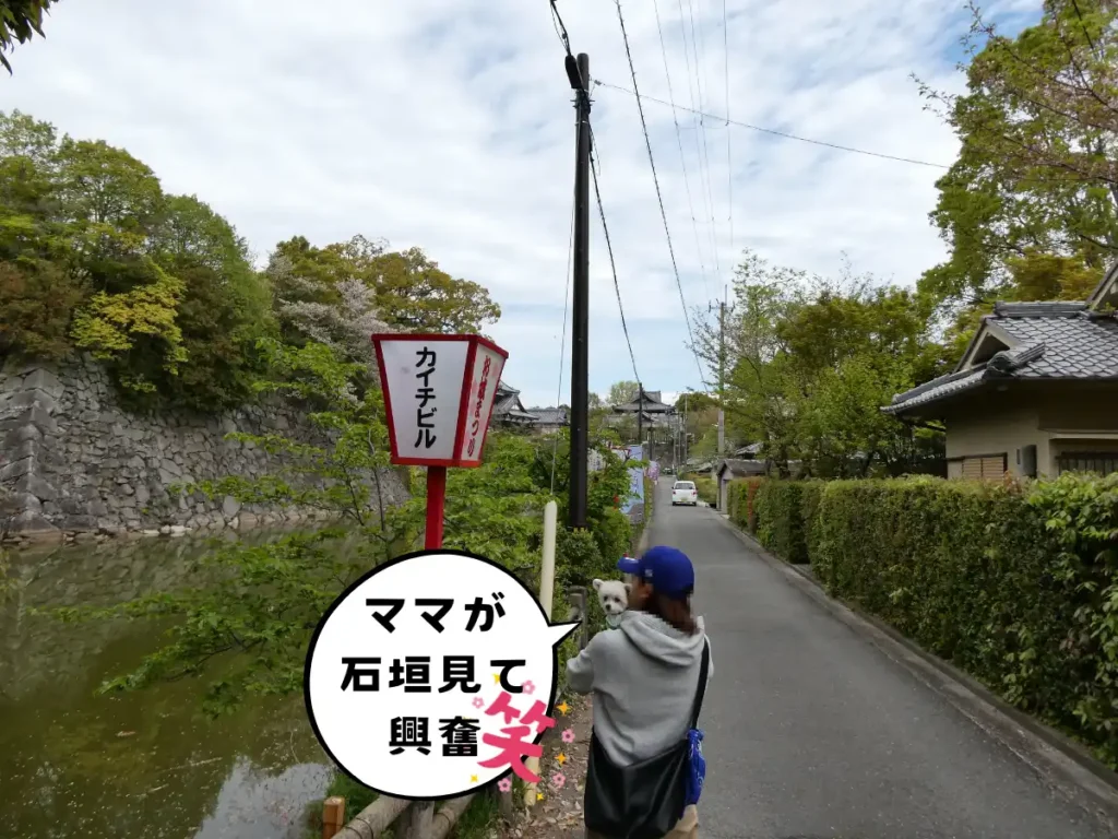 陣甫曲輪から見る中堀
