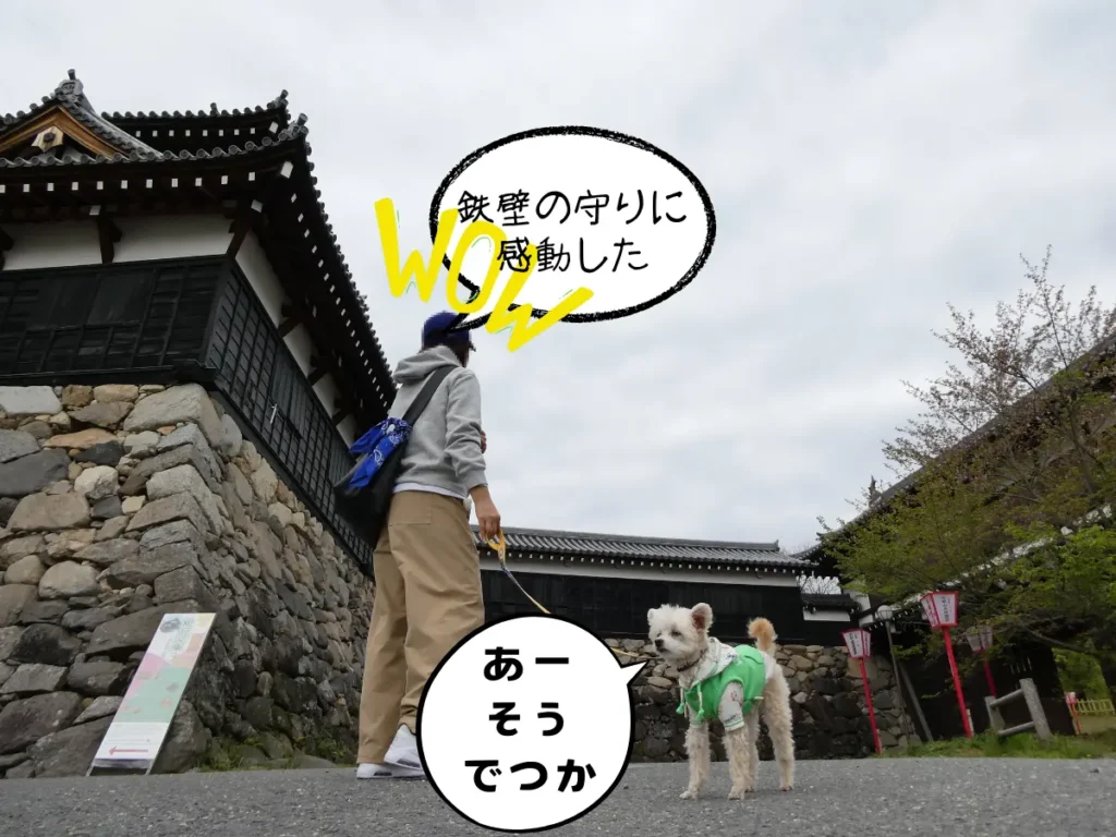追手門前