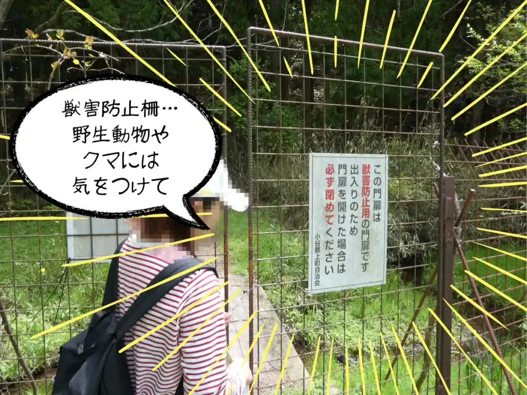 獣害防止柵を開けて入るママ