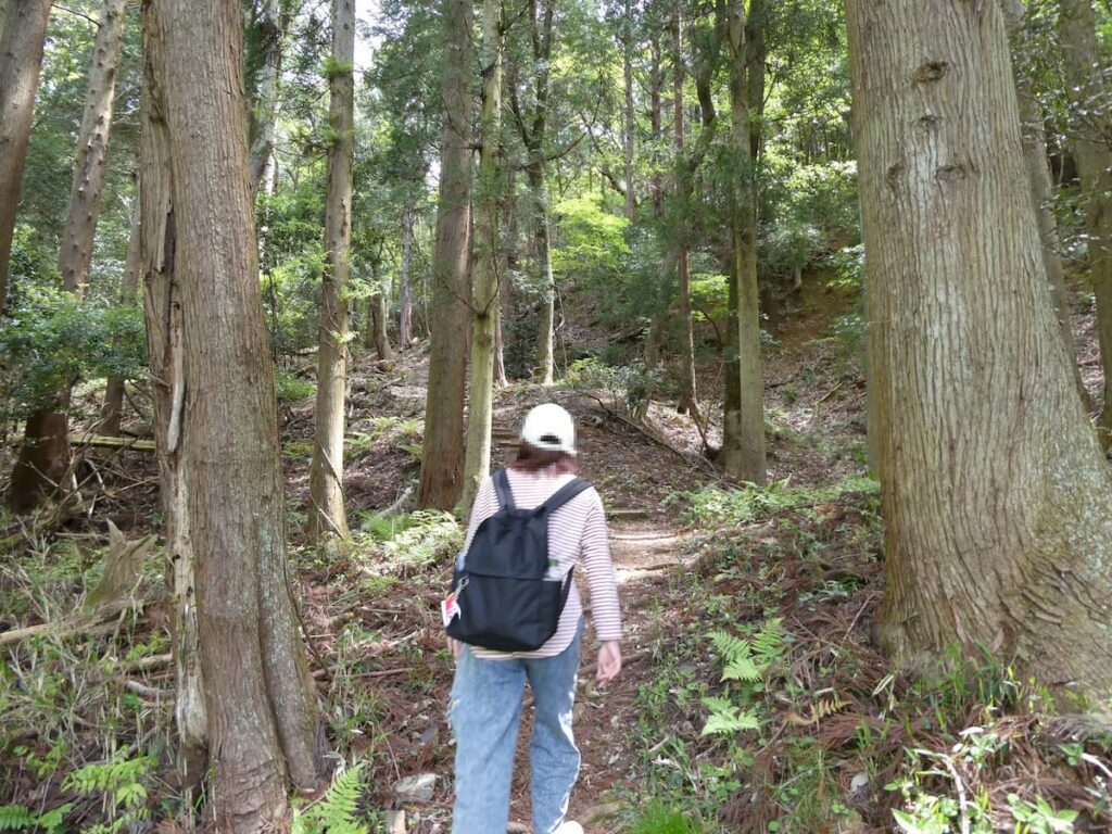 追手道の森を登る