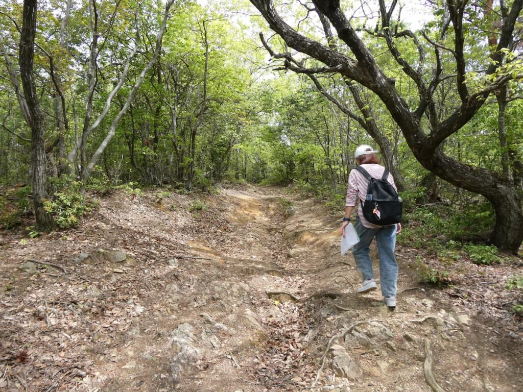 追手道の坂道を登る