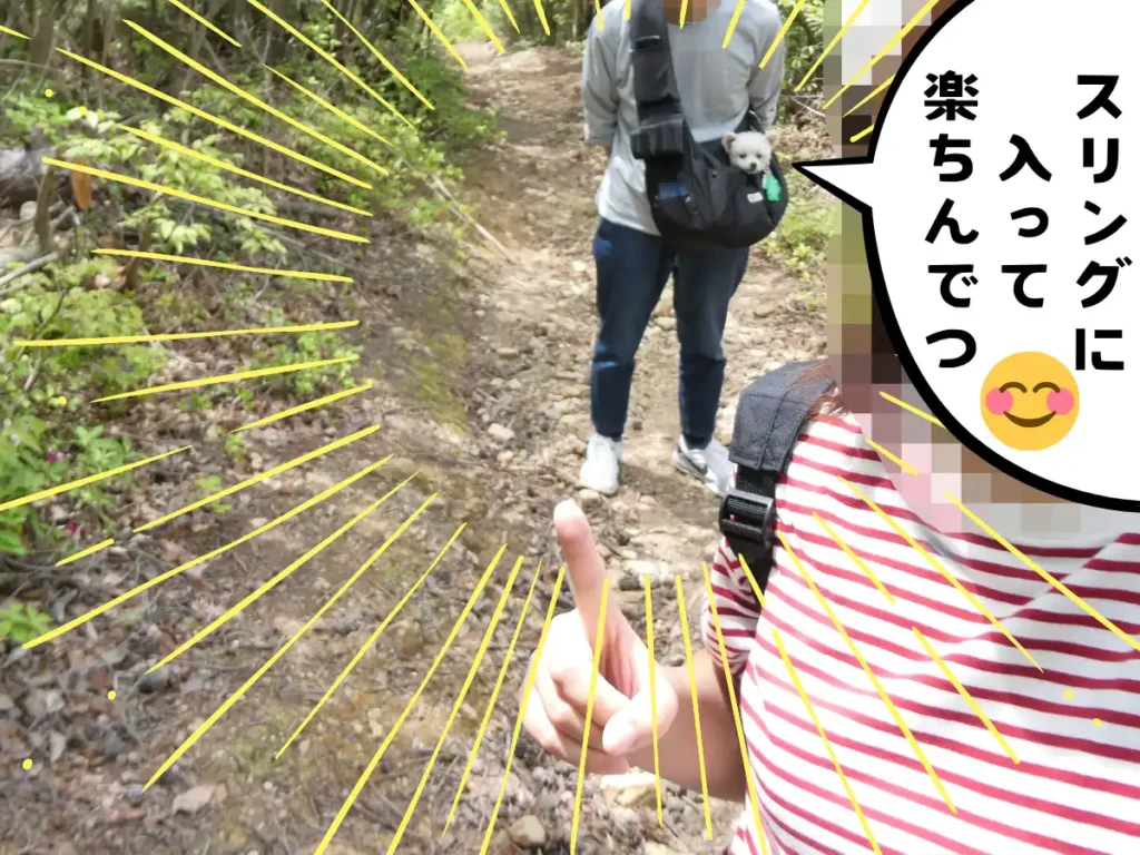 スリングに入って登城する犬
