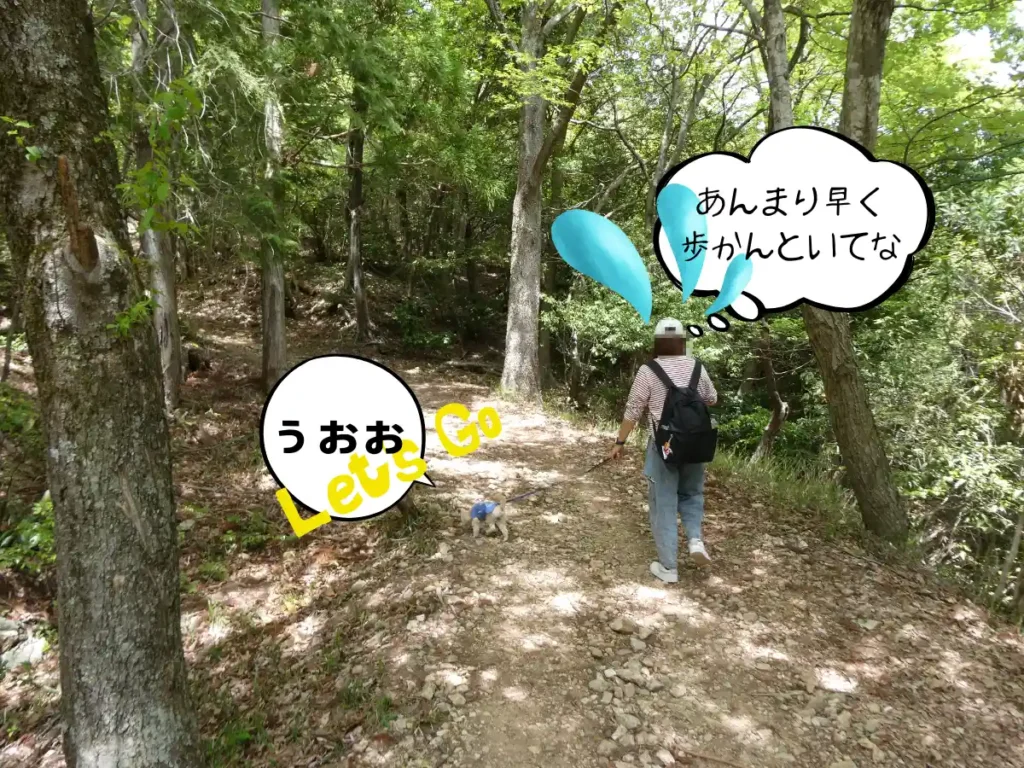 小谷城番所跡から歩く犬