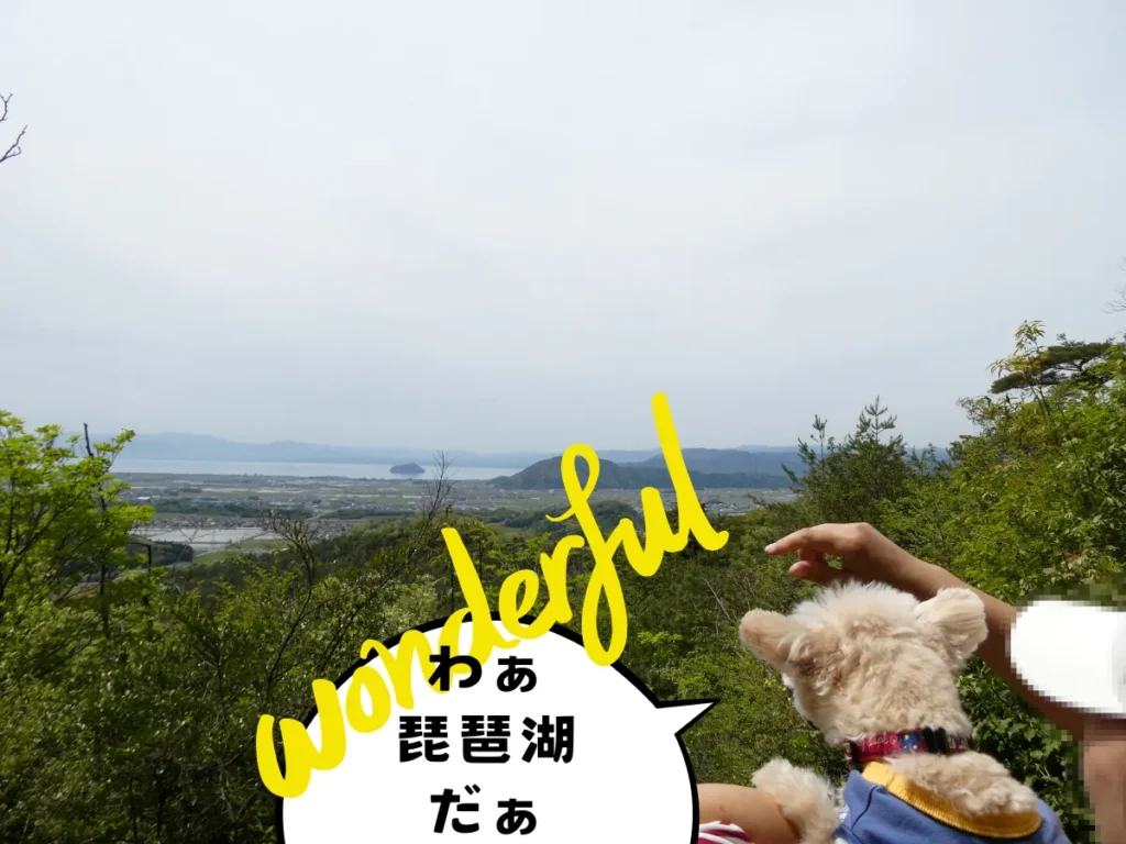 虎御前山展望所の景色