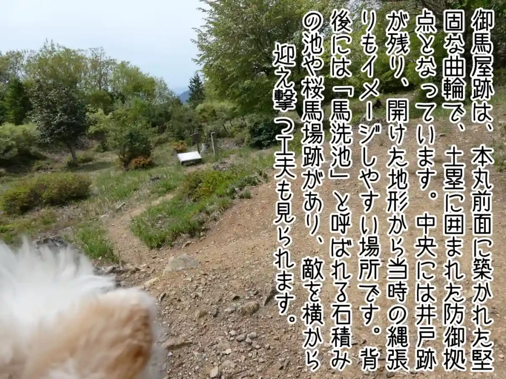 御馬屋跡
