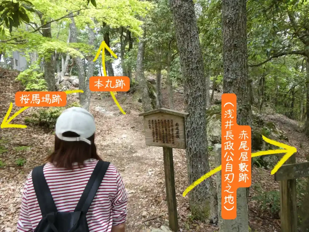 各曲輪への分岐点