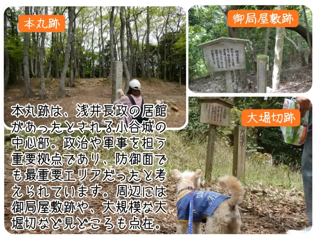 本丸跡・御局屋敷跡・大堀切跡