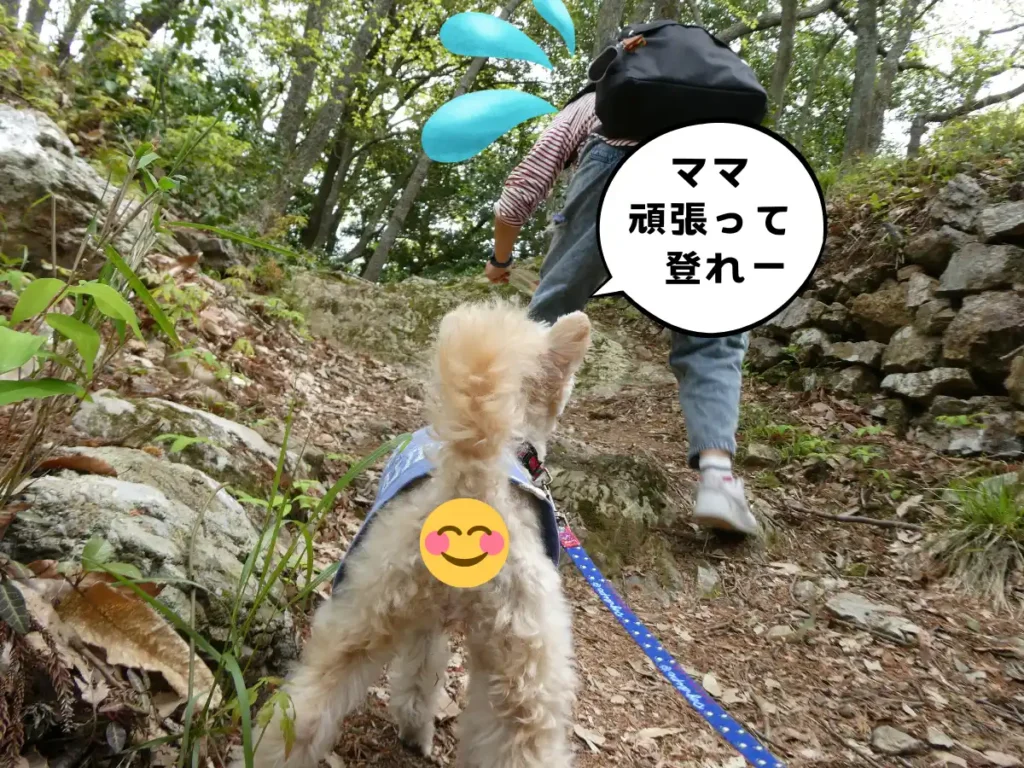 中丸跡へ続く坂道を登るママと犬