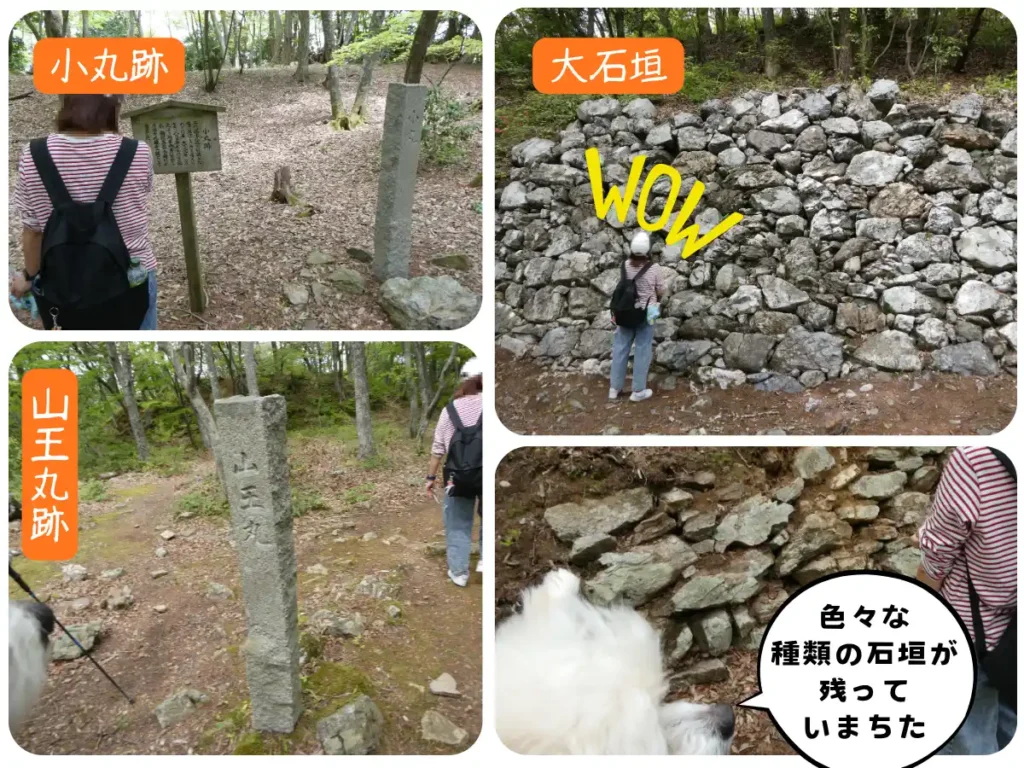 小丸跡・大石垣・山王丸跡