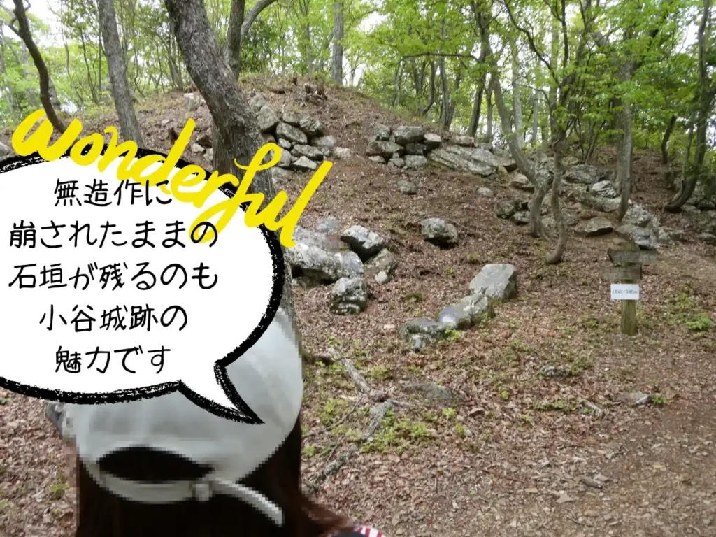 山王丸跡の無造作に崩された石垣たち