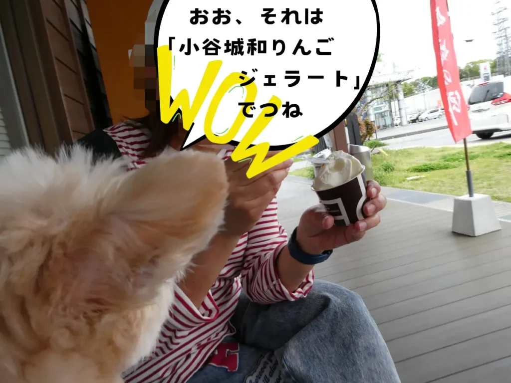 道の駅 浅井三姉妹の郷で人気のジェラートを食べる