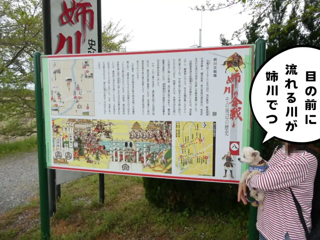 姉川古戦場跡の解説板
