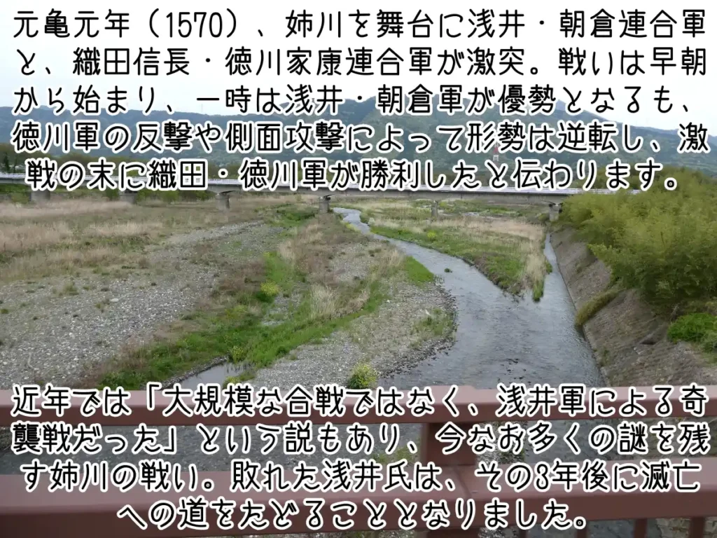 姉川