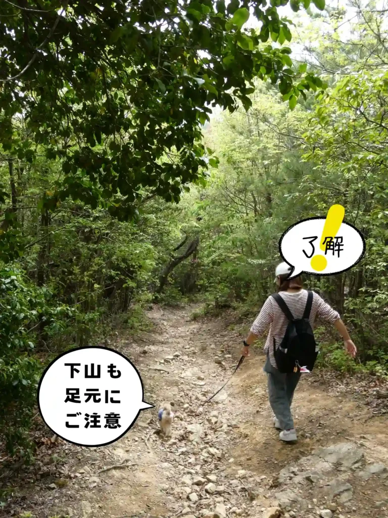 下山するママと犬